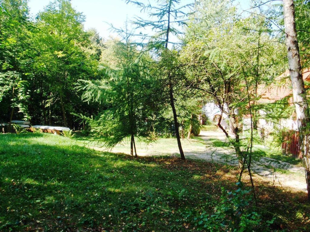 Osrodek Kwaskowa Kazimierz Dolny Exterior foto